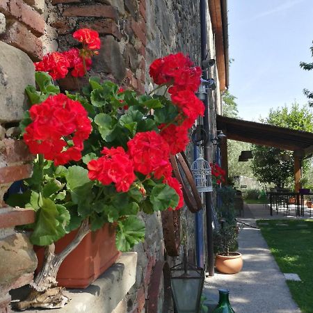 Agriturismo Tananei Marliana Екстер'єр фото