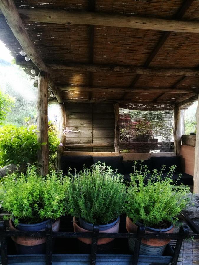 Agriturismo Tananei Marliana Екстер'єр фото