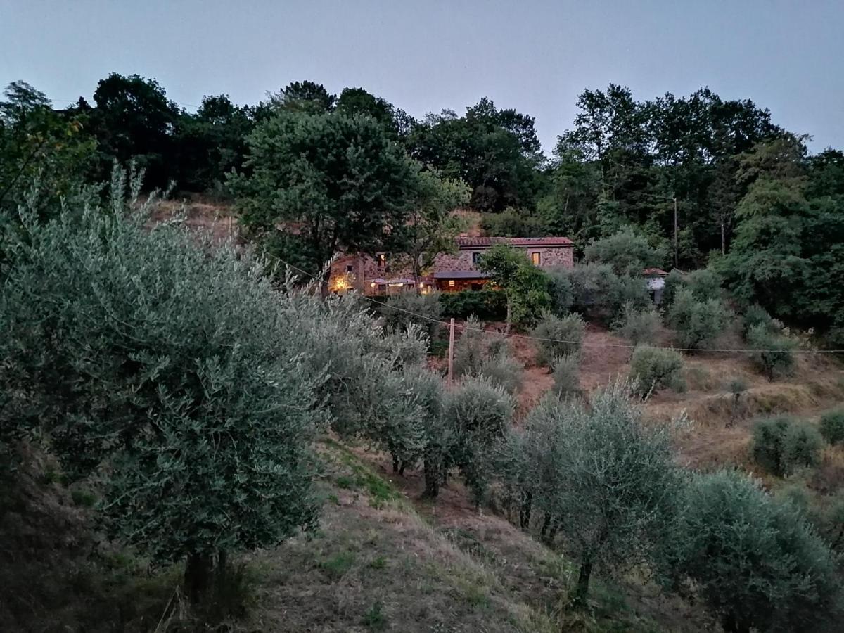 Agriturismo Tananei Marliana Екстер'єр фото
