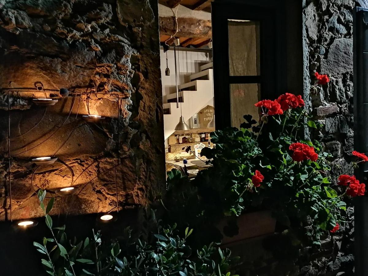 Agriturismo Tananei Marliana Екстер'єр фото