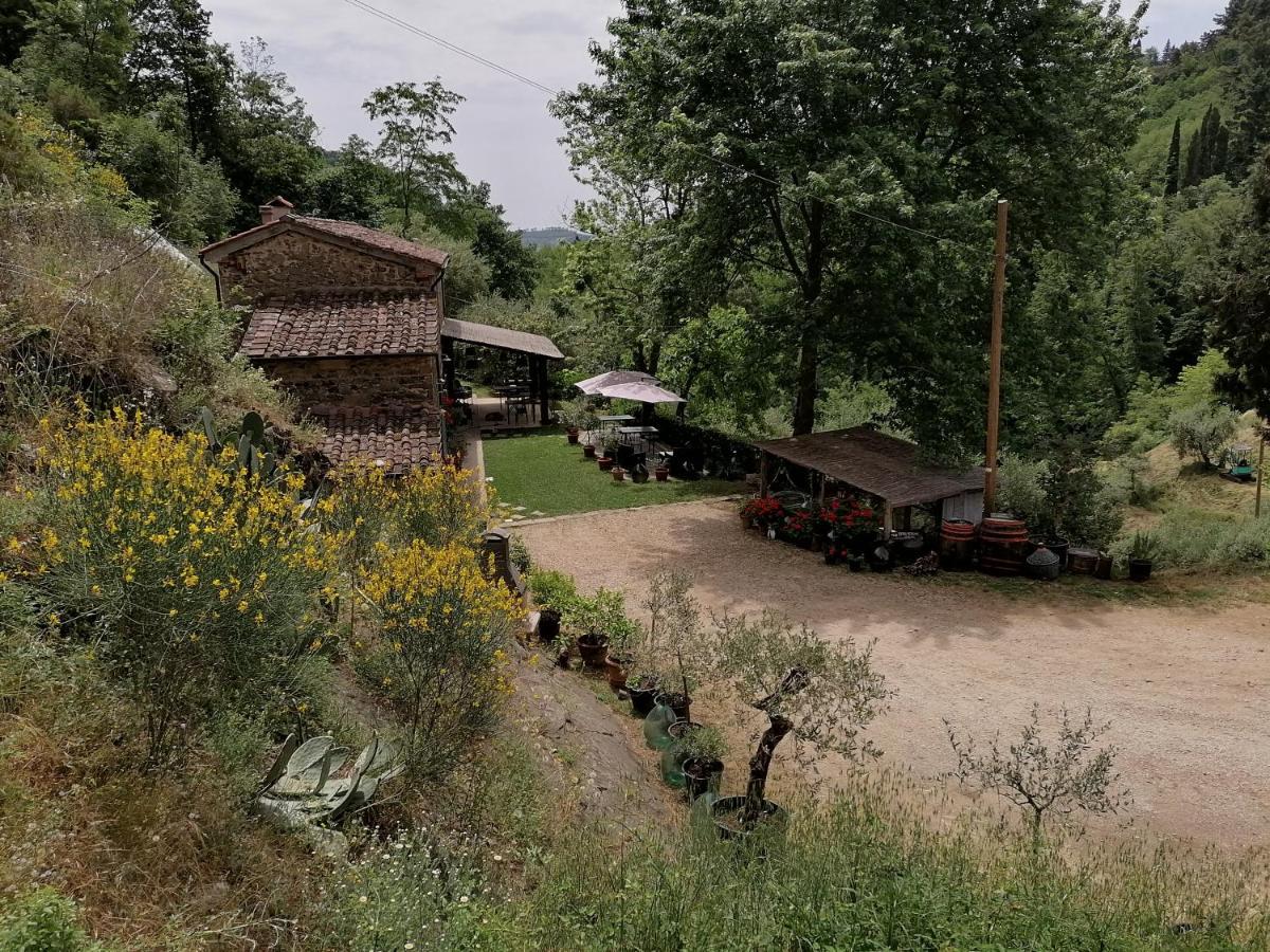 Agriturismo Tananei Marliana Екстер'єр фото