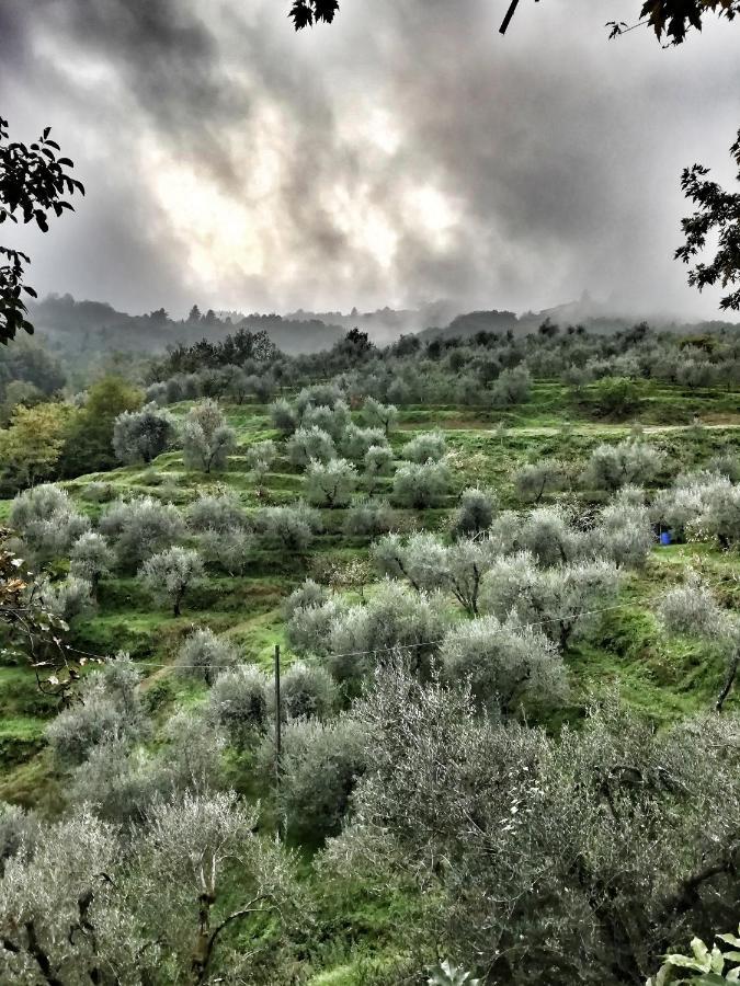 Agriturismo Tananei Marliana Екстер'єр фото