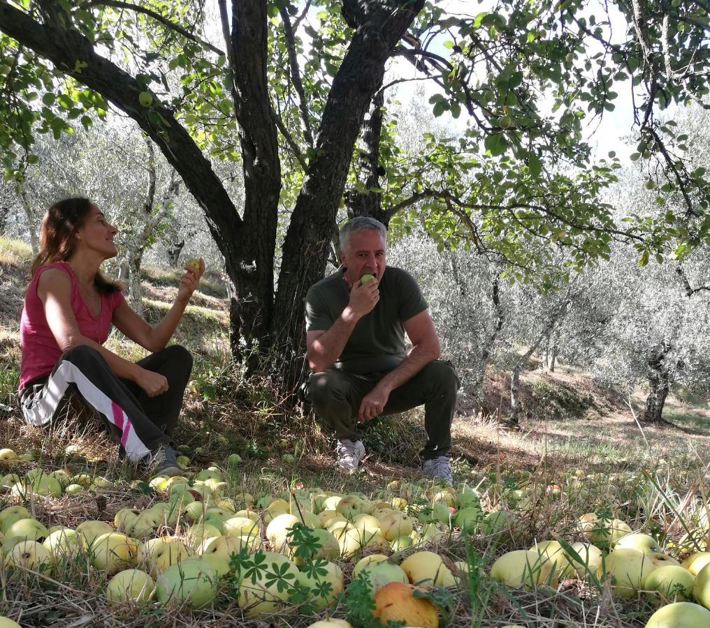 Agriturismo Tananei Marliana Екстер'єр фото